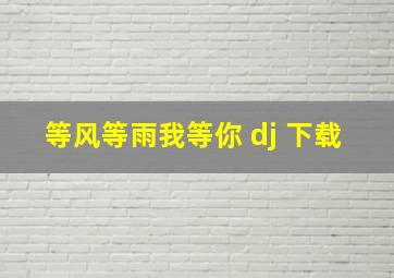 等风等雨我等你 dj 下载